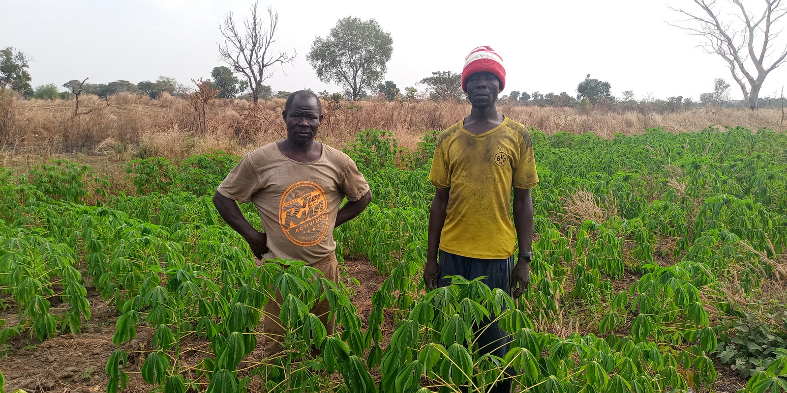 Místní koordinátor ve vesnici Doyen a náčelník vesnice v prosinci 2021 dohlížející na pole manioku, jedné ze základních potravin v jižním Čadu.